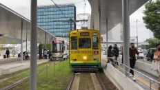 66319.jpg