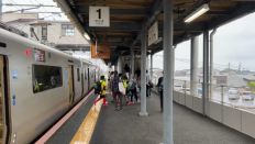 66321.jpg