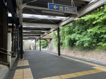 66331-3.jpg