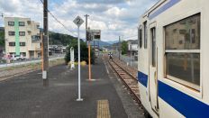 66337-4.jpg