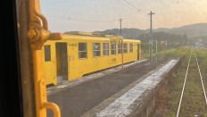 66365-1.jpg
