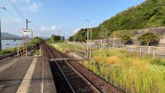 66369-2.jpg