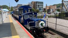 66377-1.jpg