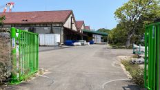 66381-2.jpg