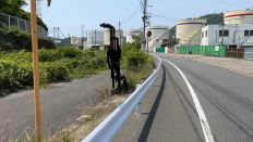 66382-1.jpg