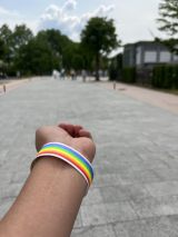 66420-2.jpg
