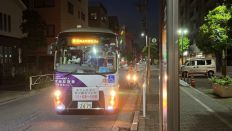 66458-3.jpg