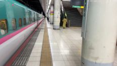 66513.jpg