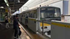 66516-1.jpg