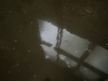 66582-1.jpg