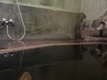 66582-2.jpg