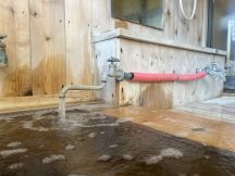 66662.jpg