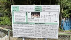 66708-1.jpg