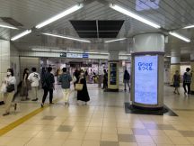 66766-1.jpg