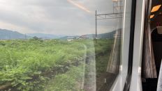 66811.jpg