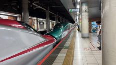 66905-2.jpg