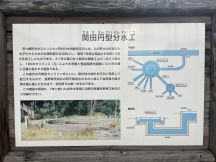 66980-2.jpg