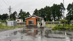 66989-3.jpg