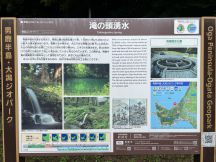 66990-2.jpg