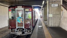 67023.jpg