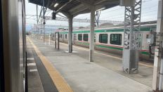 67076.jpg