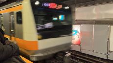 67113.jpg