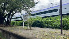 67127-4.jpg