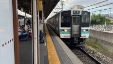 67173.jpg