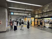 67194-2.jpg
