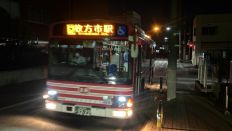 67204.jpg