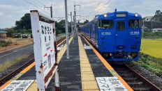 67256-3.jpg