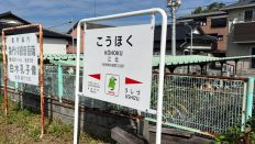 67277-2.jpg