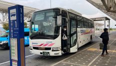 67317-1.jpg