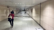 67362-1.jpg