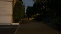 67362.jpg