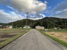 67378-5.jpg