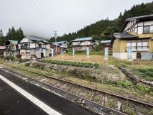 67390-1.jpg