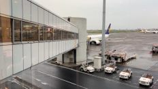 67428-2.jpg
