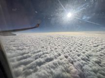67430.jpg