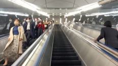 67507.jpg