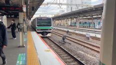 67567-1.jpg