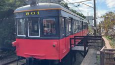 67597-1.jpg
