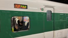 67631-1.jpg