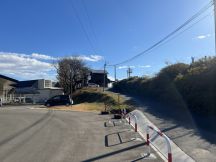 67694-2.jpg