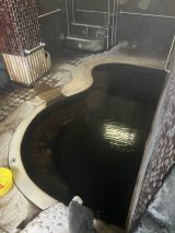 67755-3.jpg