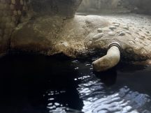 67755-4.jpg