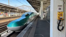 67770-1.jpg