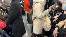 67773-1.jpg