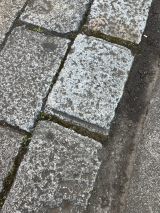 67787-2.jpg