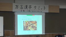 67826-2.jpg